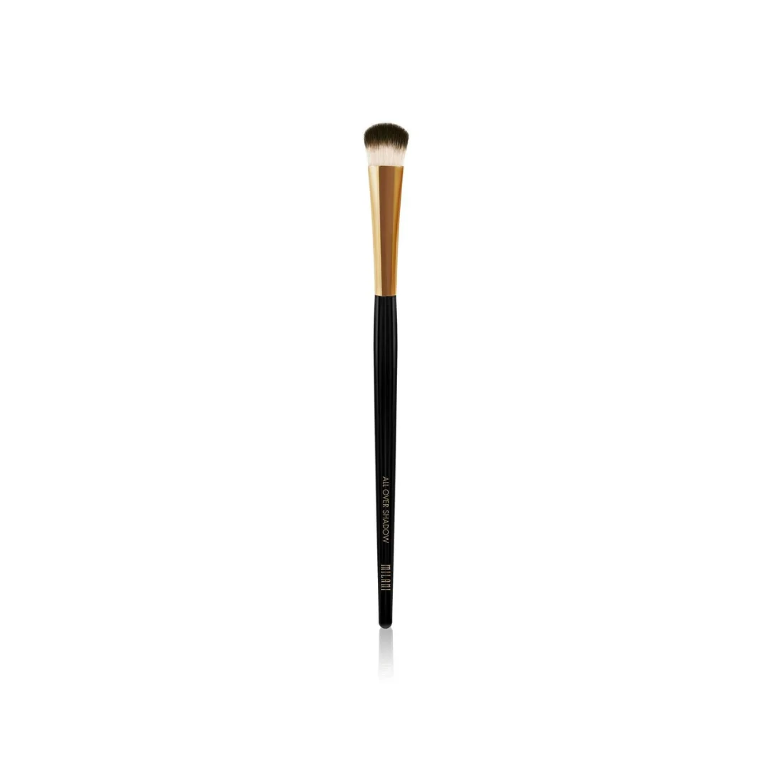 All Over Shadow Brush 550